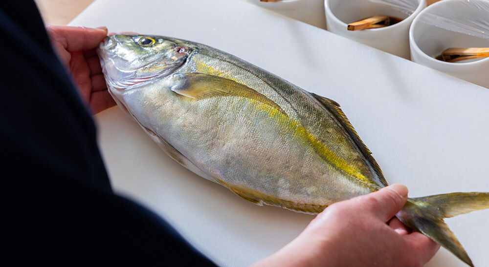 魚素材