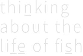 thinking about the life of fish