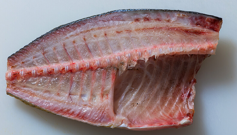 魚の切り身